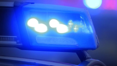 Die Beamten hielten den Lastwagen für eine Kontrolle an. (Symbolbild) (Foto: Karl-Josef Hildenbrand/dpa)
