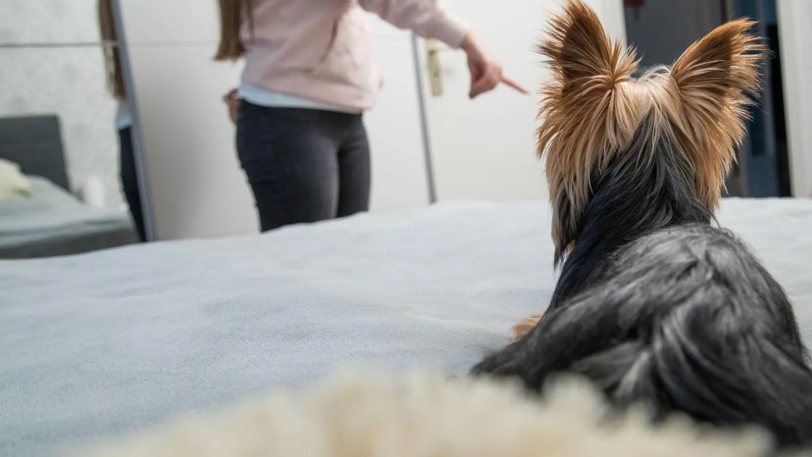 Dominanz, Schutzbedürfnis oder Unsicherheit: Hunde drängeln sich aus unterschiedlichen Gründen beim Sex zwischen ihre Menschen. Kurzfristig hilft da nur eins: den Hund aussperren. (Foto: Christin Klose/dpa-tmn)