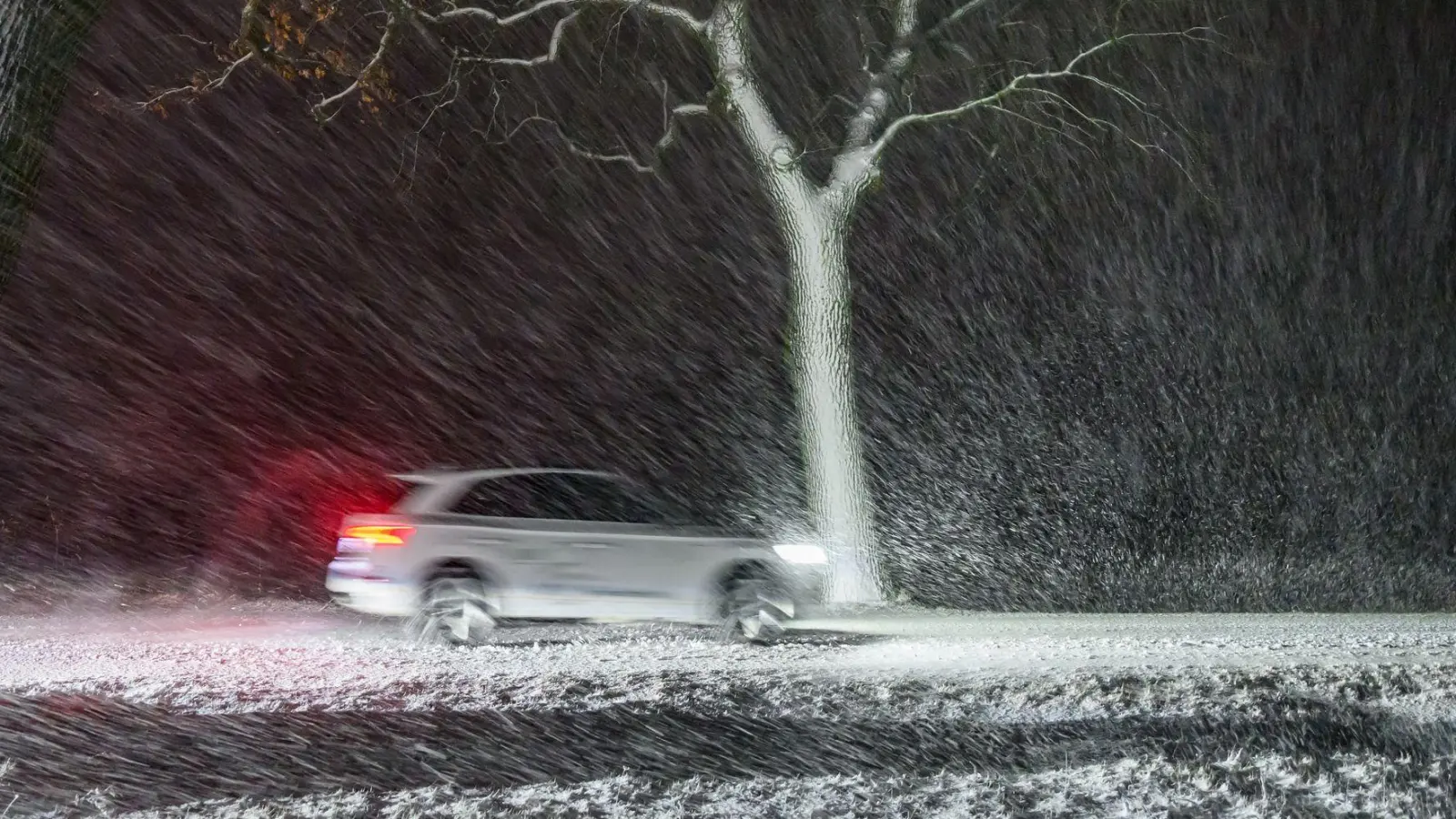 Im dichten Schneetreiben ist ein Auto auf einer Allee im östlichen Brandenburg unterwegs.  (Foto: Patrick Pleul/dpa)