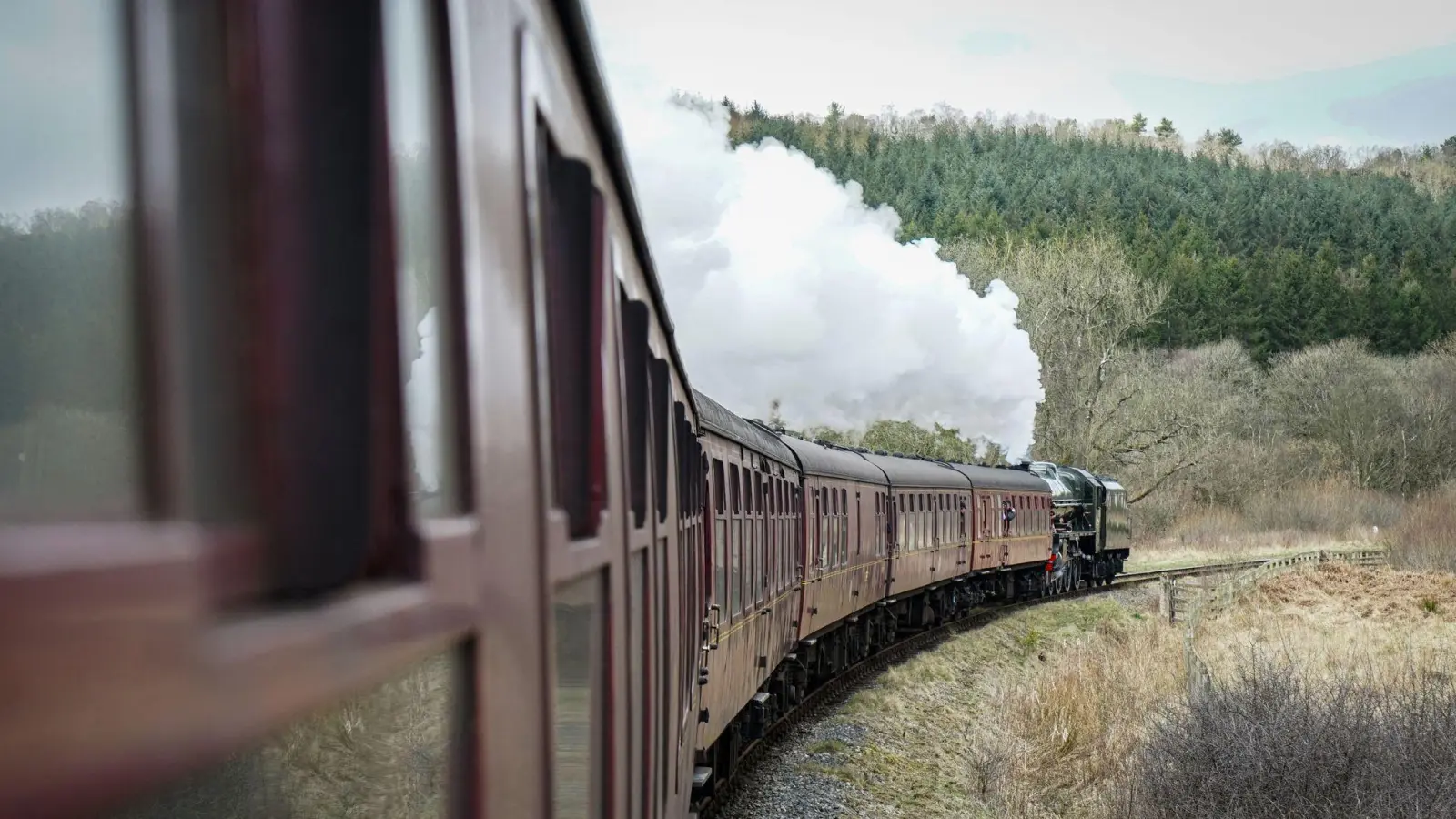 Touristenfahrt unter Dampf: Ab Pickering geht es mit der North Yorkshire Moors Railway, einer Museumsbahn, durch den gleichnamigen Nationalpark. (Foto: Stefan Weißenborn/dpa-tmn)
