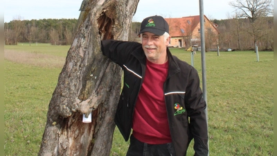 Nisthöhlen gibt es an zahlreichen Altbäumen, um die sich Herbert Grießer auf seinen eigenen Streuobstwiesen kümmert. (Foto: Herbert Dinkel)