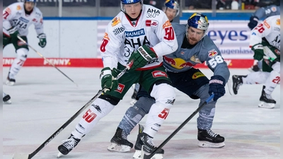Alexander Oblinger muss die Panther verlassen. (Foto: Sven Hoppe/dpa)