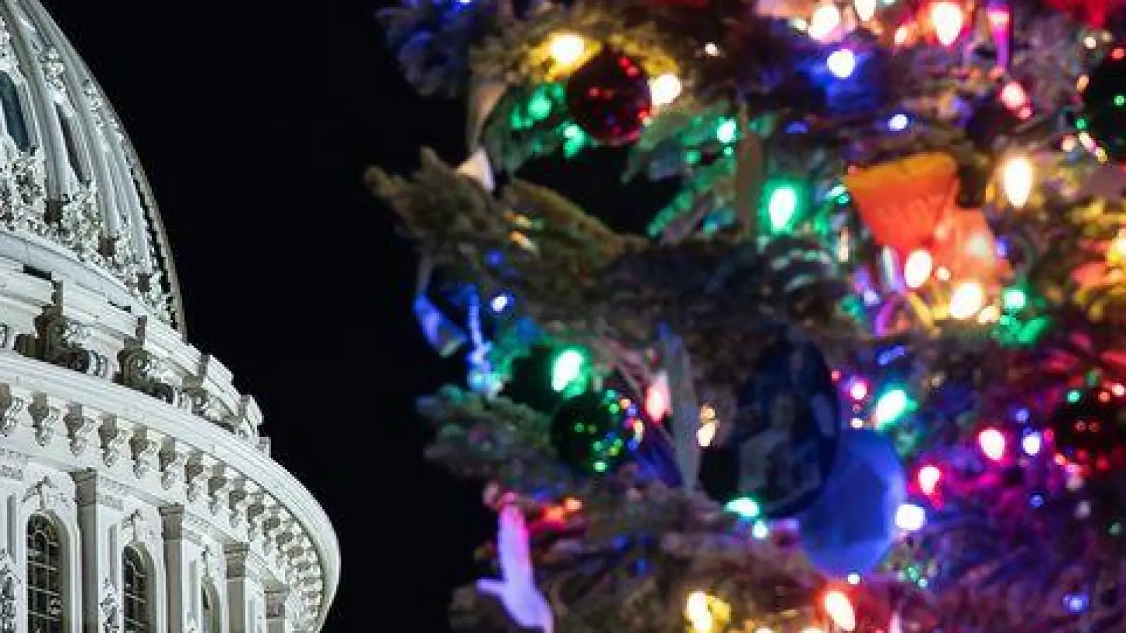 Der Weihnachtsbaum des US-Kapitols, eine Rottanne aus dem Humboldt-Toiyabe National Forest in Nevada, wird beleuchtet. (Foto: J. Scott Applewhite/AP/dpa)