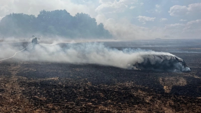 Mehrere Feuerwehren kämpfen bei Weidendorf gegen den Brand einer Ackerfläche. (Foto: Johannes Flierl)