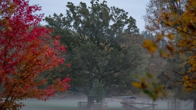 Nebel im oberfränkischen Wildpark Schloss Tambach.  (Foto: Daniel Vogl/dpa)