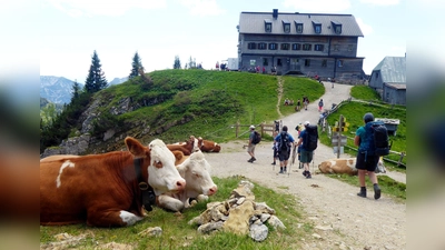 Das Rotwandhaus ist ein beliebtes Wanderziel. (Archivbild) (Foto: Angelika Warmuth/dpa)
