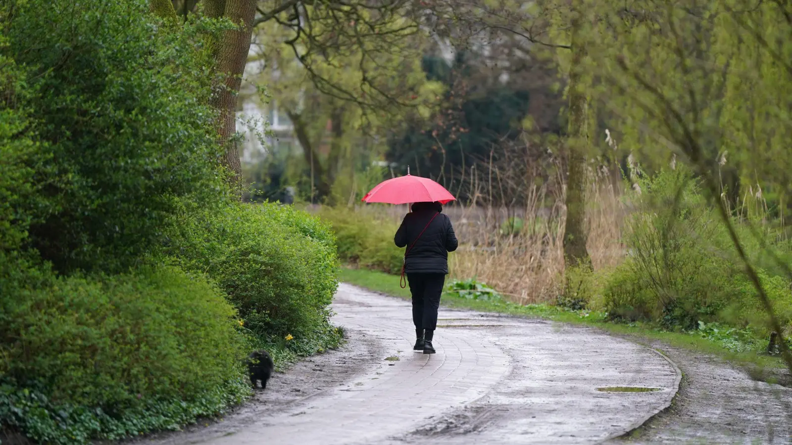 Laut einem Wetterexperten sollten Sommerliebhaber das gute Wetter am Samstag noch einmal gut nutzen - bevor es ungemütlicher wird. (Archivbild) (Foto: Marcus Brandt/dpa)