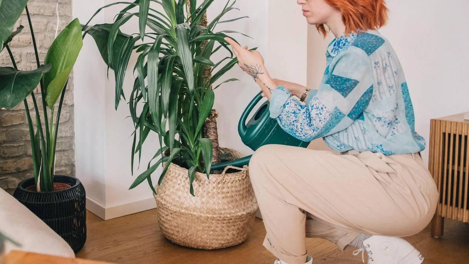 Wenn es draußen fröstelt, ist es Zeit, Zimmerpflanzen etwas mehr Aufmerksamkeit zu schenken. (Foto: Zacharie Scheurer/dpa-tmn)