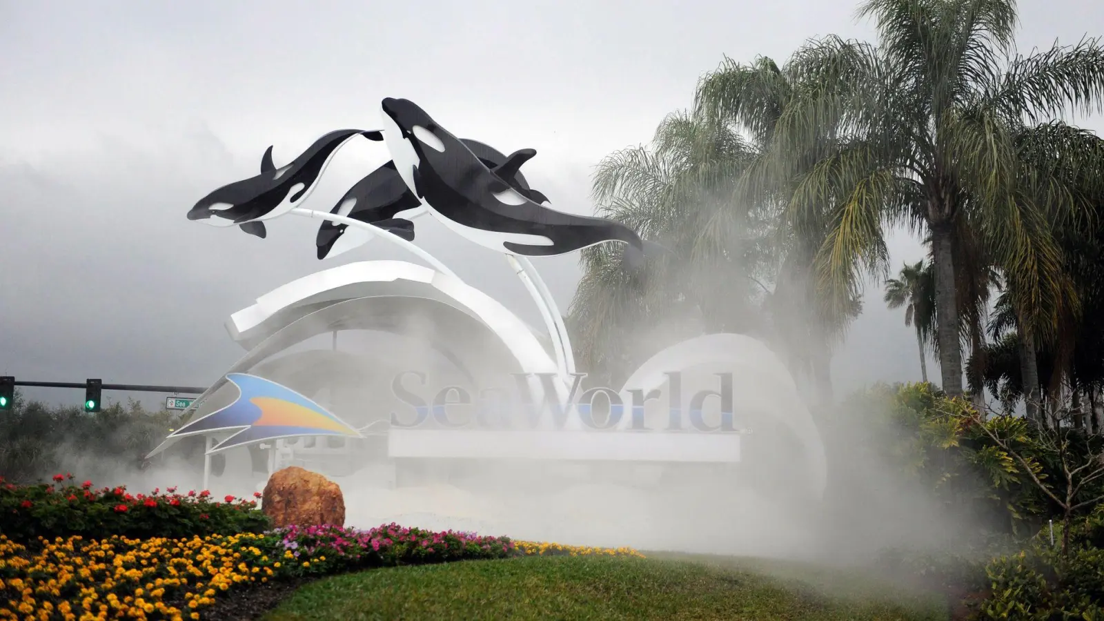 Zum Schutz von Meeressäugern: Dertour nimmt Ausflüge wie ins Seaworld in Florida aus seinem Programm. (Foto: Preston Mack/EPA/dpa-tmn)