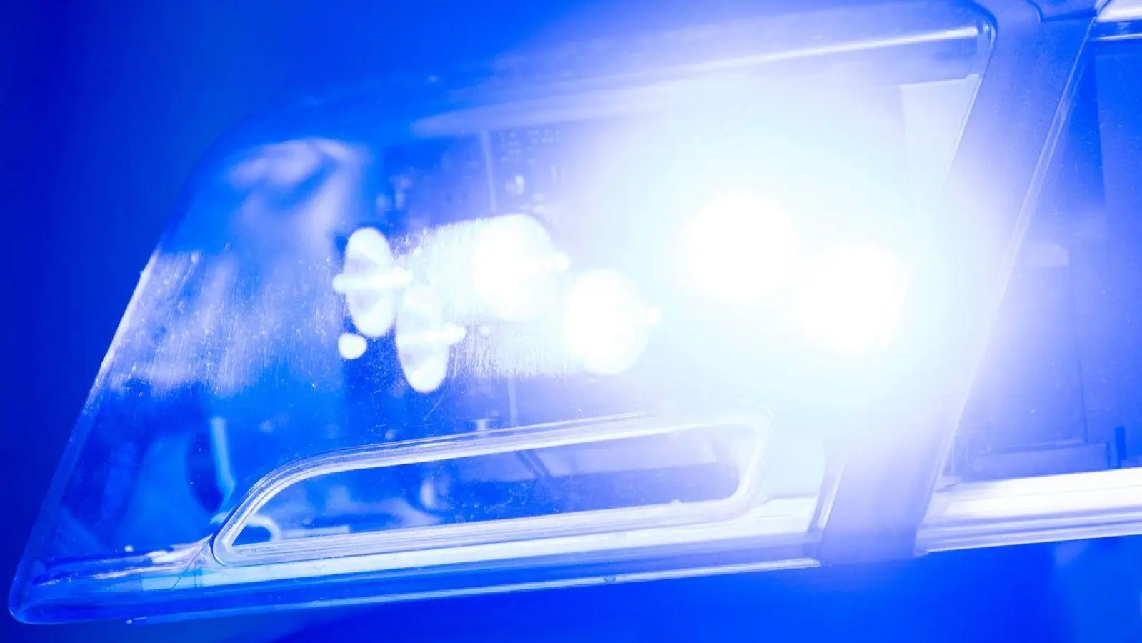 Nach dem Fund der ausgesetzten Tiere ermittelt die Polizei. (Symbolbild) (Foto: Lino Mirgeler/dpa)