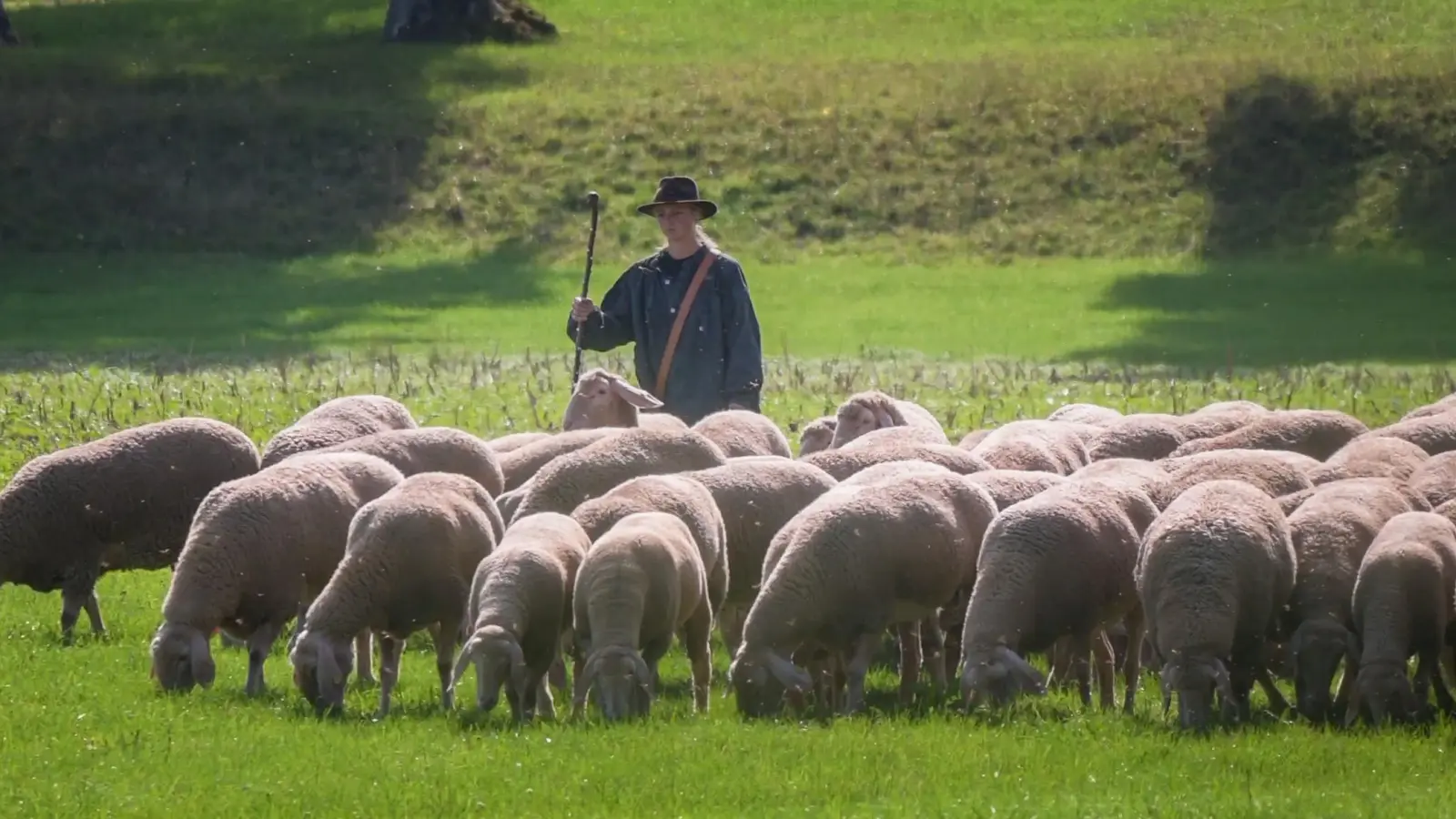 Vor der Freisprechungsfeier fand in Triesdorf das 42. Lehrhüten statt. Die neuen Schäfermeisterinnen und Schäfermeister stellten sich unter Beweis. (Foto: René Chlopotowski)