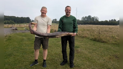 Zwei Bornholmer Naturführer zeigen den seltenen Fund. (Foto: René Vilsholm/NaturBornholm/dpa)