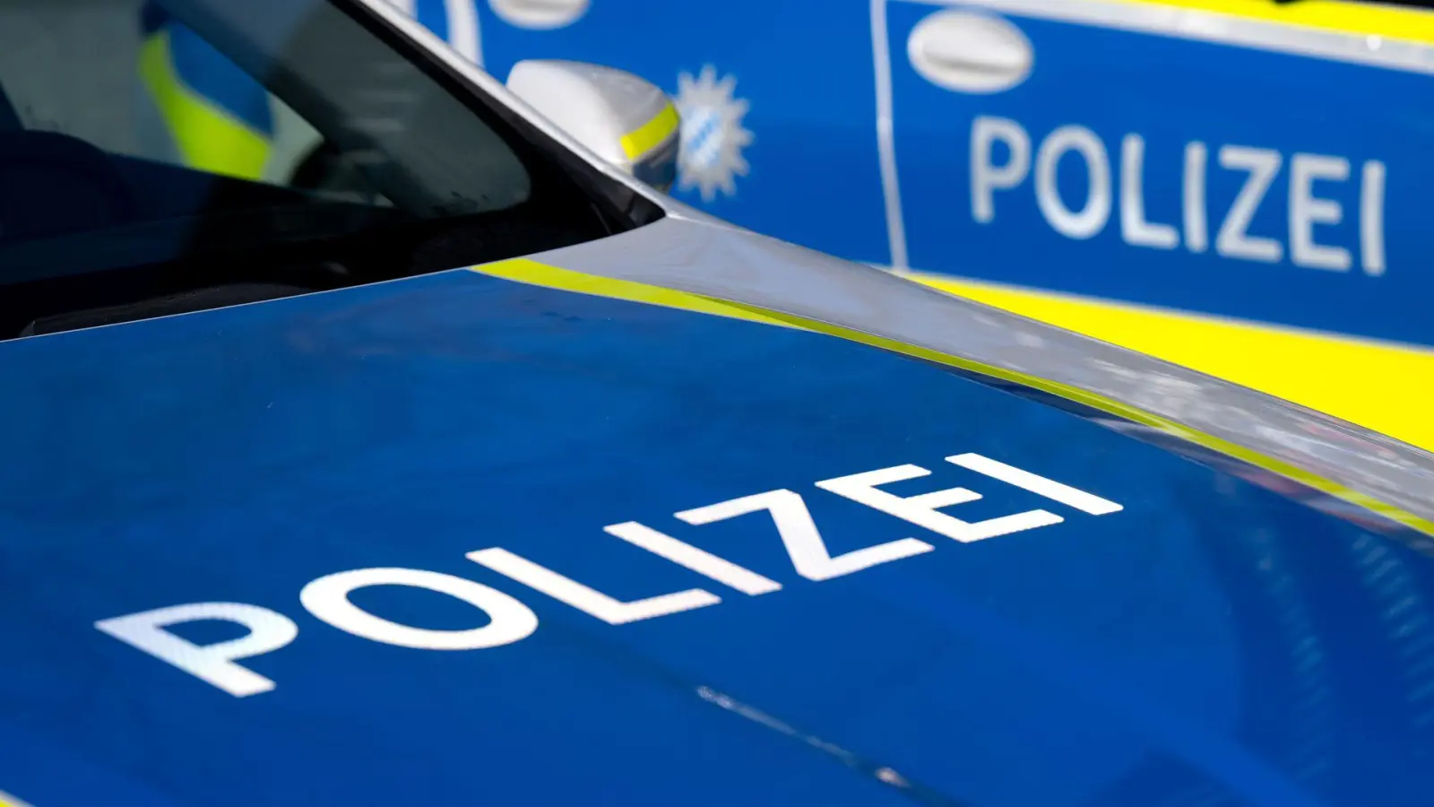 Ein sechsstelliger Schaden ist laut Polizei durch die Beschädigungen entstanden. (Symbolbild) (Foto: Sven Hoppe/dpa)