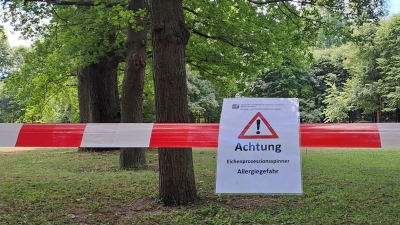 Flatterband und Hinweisschilder machen im Hofgarten auf die betroffenen Bäume aufmerksam. (Foto: Antonia Müller)