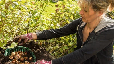 Herbst im Beet: Auch wenn es draußen kühler wird, muss im Garten noch lange nicht Schluss sein. (Foto: Christin Klose/dpa-tmn)