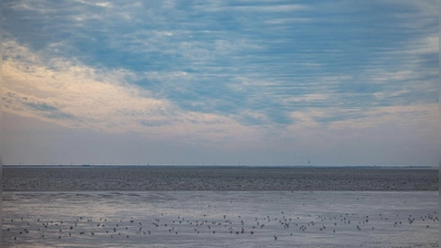 Die Wassertemperatur der Nordsee steigt. (Foto: Axel Heimken/dpa)