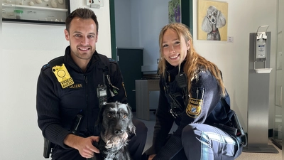 Dieser junge Fundhund war Gast bei den Beamten in der Polizeiinspektion Dinkelsbühl. (Foto: Polizeipräsidium Mittelfranken)