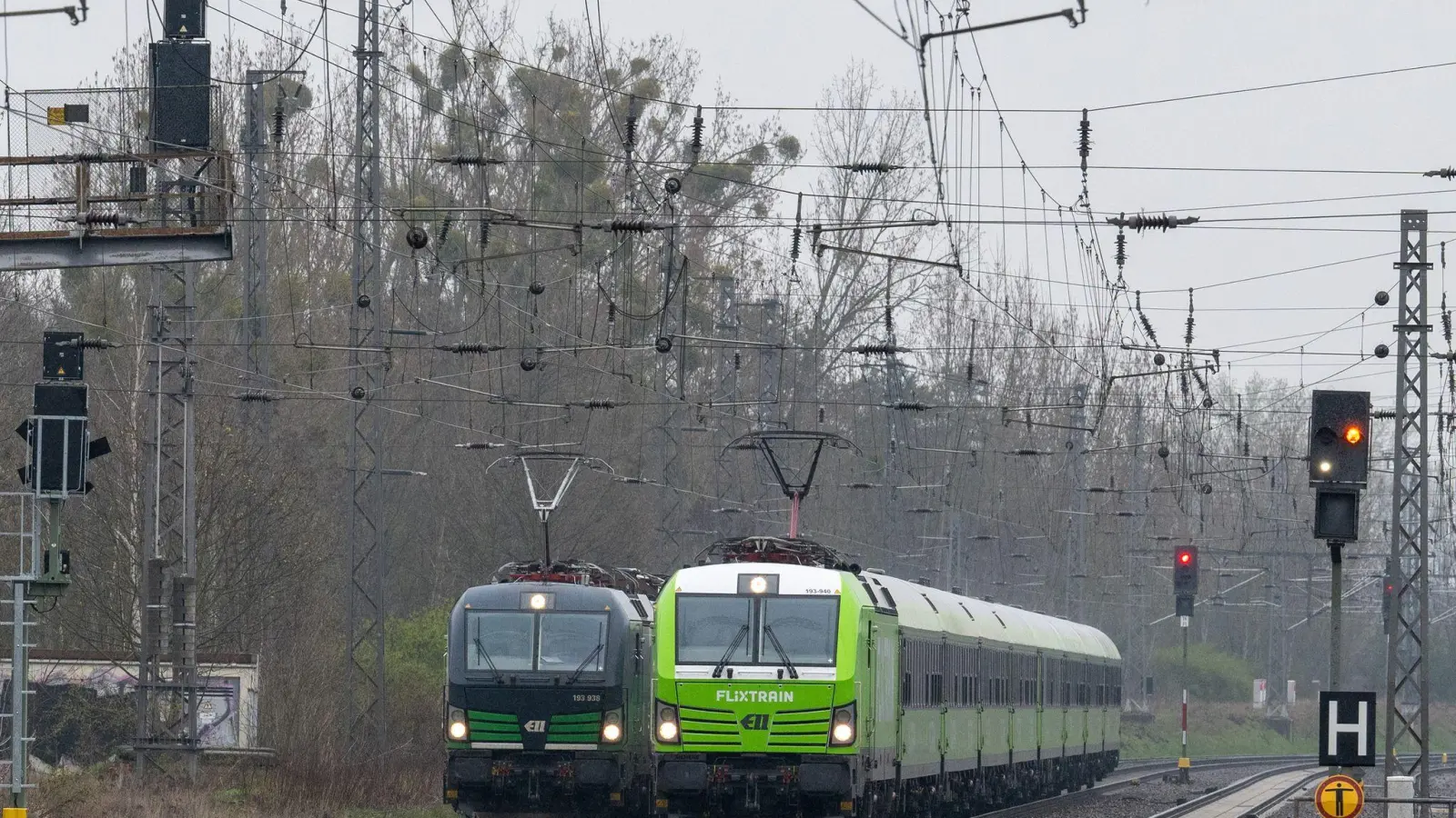 Flixtrain baut sein Angebot im Regionalverkehr auf der Schiene weiter aus (Archivfoto). (Foto: Soeren Stache/dpa)