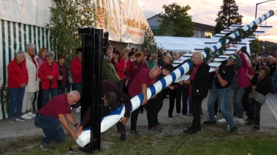 Alle fassen mit an: Der Kirchweihbaum wird aufgestellt. Traditionell obliegt diese Aufgabe bei der Schillingsfürster Kirchweih jedes Jahr einem anderen Verein. Diesmal hatte sich „Hand in Hand“ dazu bereit erklärt, ein Verein, der sich weit über Schillingsfürst hinaus mit großem Engagement der Nachbarschaftshilfe und der Hilfe für in Not geratene Menschen widmet. (Foto: Karl-Heinz Gisbertz)