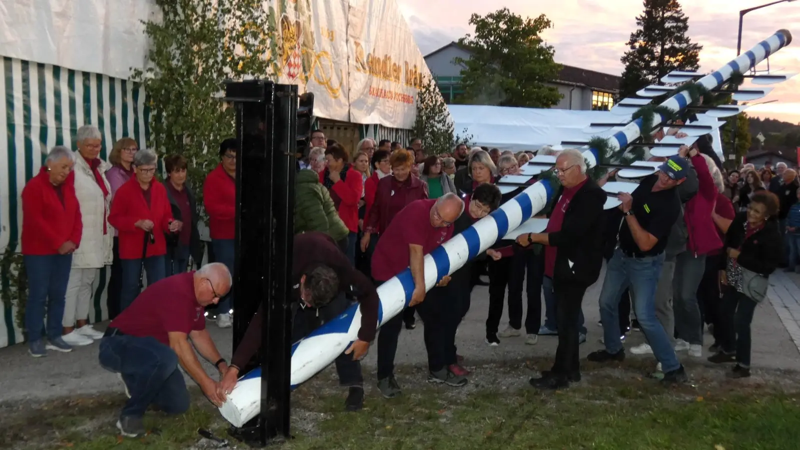 Alle fassen mit an: Der Kirchweihbaum wird aufgestellt. Traditionell obliegt diese Aufgabe bei der Schillingsfürster Kirchweih jedes Jahr einem anderen Verein. Diesmal hatte sich „Hand in Hand“ dazu bereit erklärt, ein Verein, der sich weit über Schillingsfürst hinaus mit großem Engagement der Nachbarschaftshilfe und der Hilfe für in Not geratene Menschen widmet. (Foto: Karl-Heinz Gisbertz)