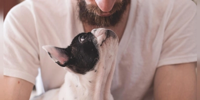 Die Beziehung zwischen Mensch und Hund wird am Welthundetag gefeiert. (Foto: Pixabay)