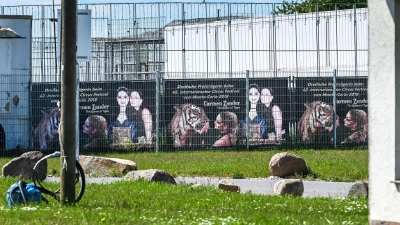 Das Tigergehege genügt laut Behörden nicht den Anforderungen. (Archivbild) (Foto: Heiko Rebsch/dpa)