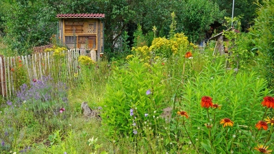 So kann ein naturnaher Garten aussehen. (Foto: Thomas-Staab/LBV-Bildarchiv)