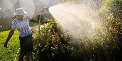 Wasser wird zunehmend zum kostbaren Gut, auch in Westmittelfranken. Zum Gießen tut es auch Regenwasser. (Symbolbild: Julian Stratenschulte/dpa)
