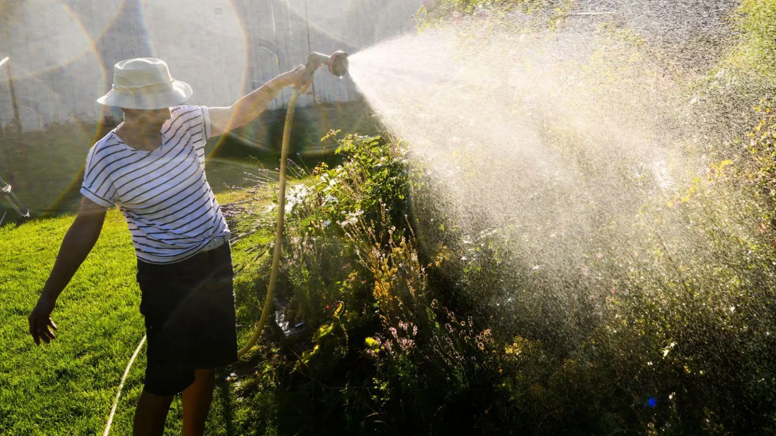 Besser Grauwasser nutzen: Wer seine Pflanzen im Garten gießt, verbraucht sonst im Sommer viel Trinkwasser. (Foto: Julian Stratenschulte/dpa)