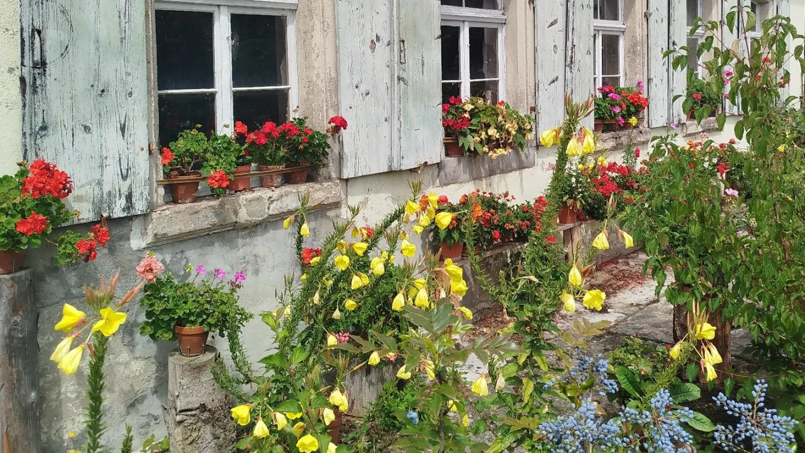 Im Frühjahr kann man wieder für viel Leben im Grünen sorgen. Der Garten von Kurt Maag in Herrieden etwa ist ein Musterbeispiel für liebevolle und bienenfreundliche Gestaltung. (Foto: Christian Treffer)