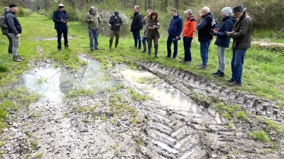 Eine Reihe von Ehrenamtlichen steht um eine Gumpe. Dort könnten Gelbbauchunken und Kaulquappen leben. Es gilt, diese zu erhalten. (Foto: Hans-Jochen Teufel)