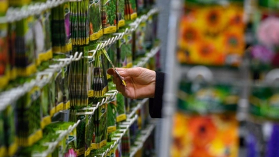 Die Qual der Wahl: Samentütchen verlocken, doch nicht alles passt am Ende in den Garten. (Foto: Klaus-Dietmar Gabbert/dpa/dpa-tmn)