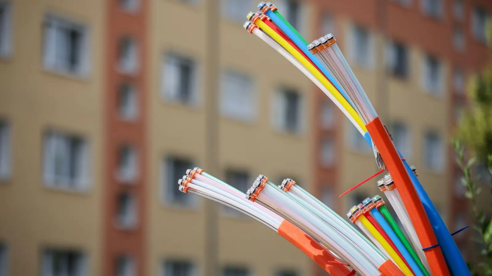 Die Bundesnetzagentur sieht kein wettbewerbswidriges Verhalten der Deutschen Telekom beim Glasfaserausbau. (Archivbild) (Foto: Jan Woitas/dpa)