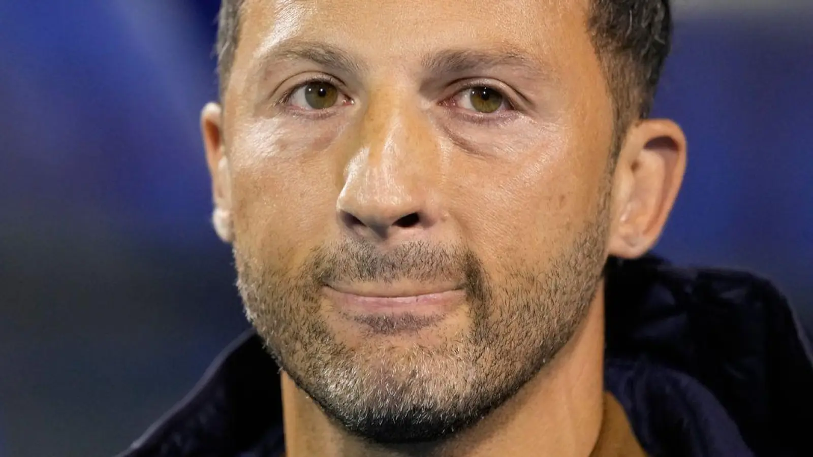 Domenico Tedesco ist in Bologna freigestellt worden. (Archivbild) (Foto: Darko Bandic/AP/dpa)