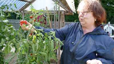 Elke Schmidt präsentiert ein Exemplar der Reisetomate, die seit kurzem in der Kreisobstanlage wächst. Sie heißt so, weil man sie anschneiden kann, ohne dass sie Saft verliert und sie deswegen als Reiseproviant bestens geeignet ist. (Foto: Sylvia Fehlinger)