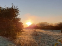Kältegruß - gesehen bei Oberkemmathen<br> (Foto: Petra Kolb)