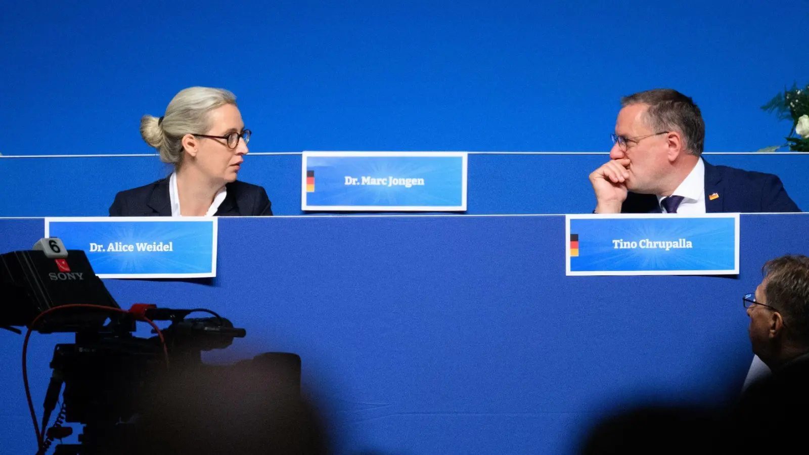 AfD-Chefs Weidel und Chrupalla (Foto: Bernd von Jutrczenka/dpa)