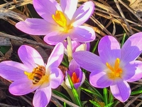 Punktlandung - gesehen in der Neustädter Multernschlucht (Foto: Uschi Wendel)