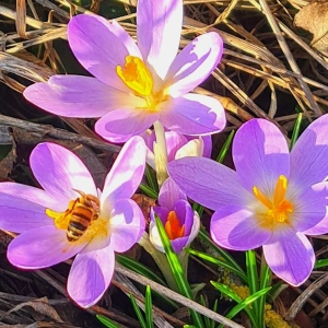 Punktlandung - gesehen in der Neustädter Multernschlucht (Foto: Uschi Wendel)