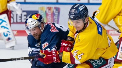 Maximilian Kastner (l) von München und Josef Eham von Düsseldorf kämpfen um den Puck. Eham wechselt nach Nürnberg. (Foto: Sven Hoppe/dpa)