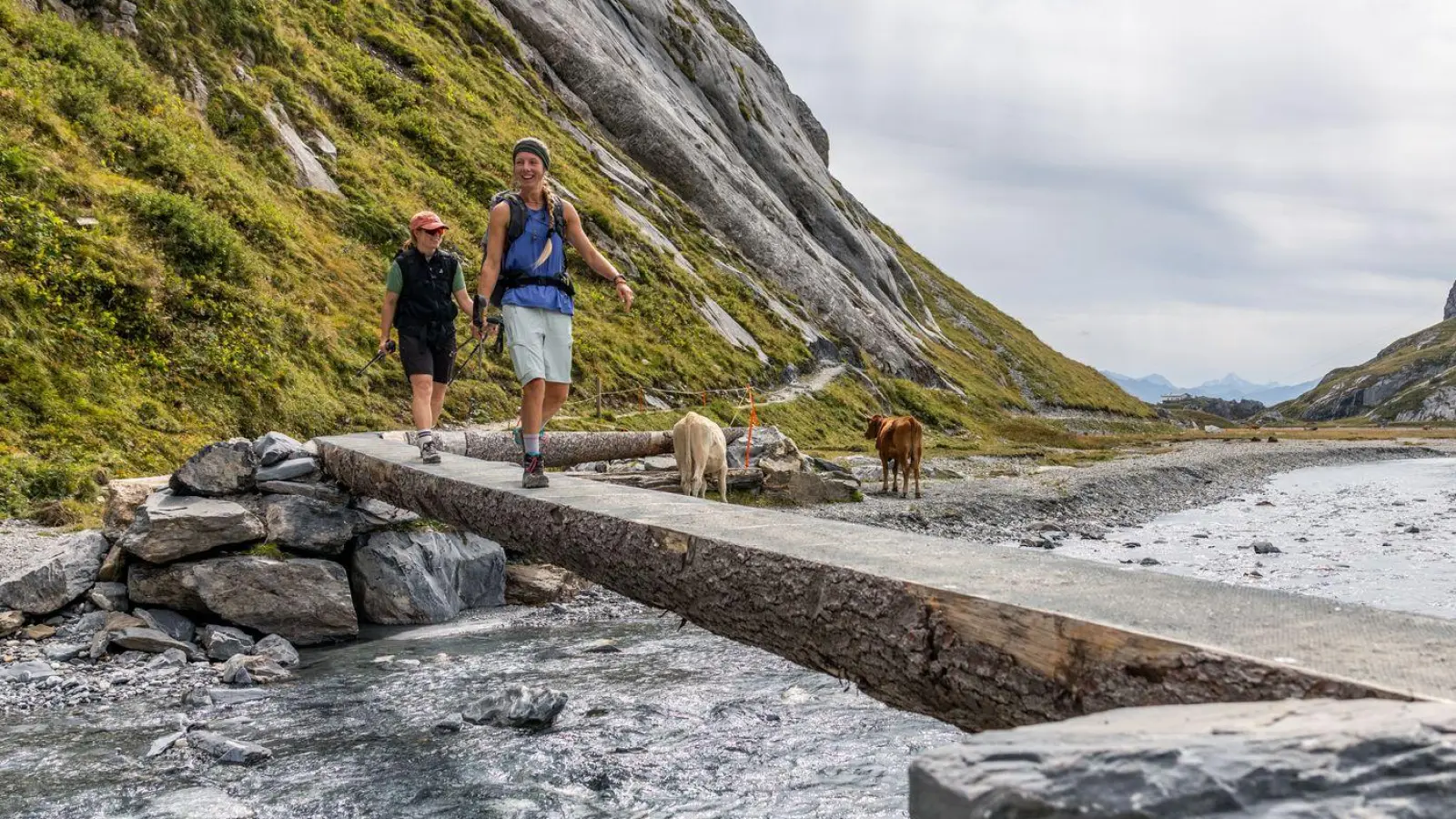 Führt auch durch Hochtäler mit Gebirgsbächen und Rindern: Die Senda Sursilvana ist ein abwechslungsreicher Alpin-Wanderweg. (Foto: Maximilian Gierl/Flims Laax/dpa-tmn)