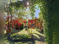Der bunte Herbst ist da - gesehen in Wachsenberg (Foto: Georg Weger)
