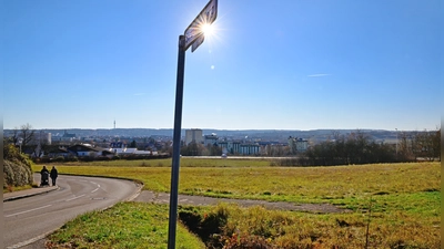 Auf dem Areal zwischen der Staatsstraße und dem Strüther Berg sollen 34 Reihenhäuser sowie ein Pflegeheim für etwa hundert Bewohner entstehen. Der Stadtrat hat bereits zugestimmt. Nun ist es an dem Investor, das Projekt umzusetzen. (Foto: Jim Albright)