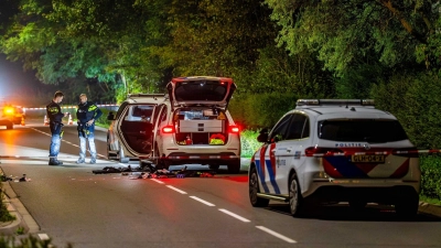 Es habe mehrere Festnahmen gegeben, teilte die Polizei mit.  (Foto: Avcam/Presseagentur Heitink/ANP/dpa)