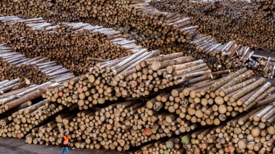 Was mit dem Holzlager der Ziegler Group geschieht, ist jetzt klar. Der Betrieb geht weiter.  (Foto: Armin Weigel/dpa)