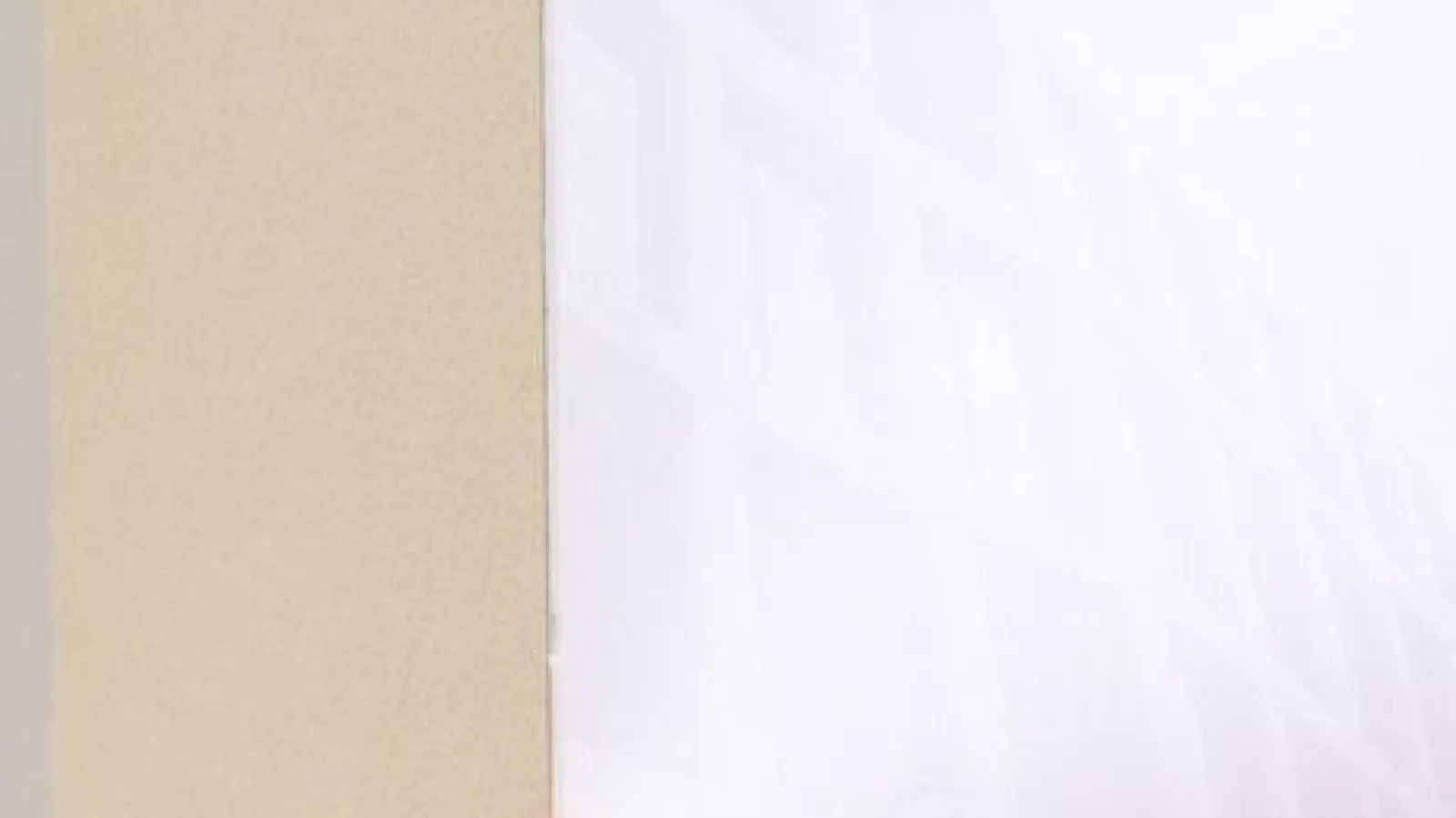 Der 28-Jährige hatte zum Prozessauftakt ein umfangreiches Geständnis abgelegt. (Archivbild) (Foto: Matthias Balk/dpa)