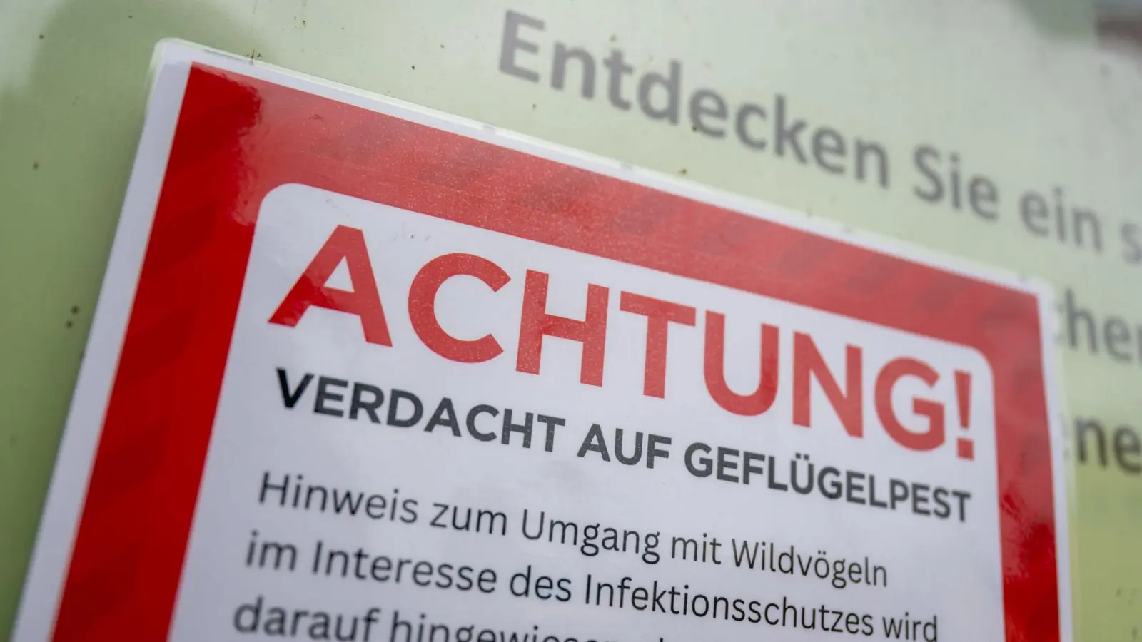 Für Menschen besteht keine besondere Gefahr. (Symbolfoto) (Foto: Christophe Gateau/dpa)