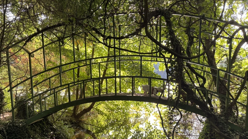 Der Schlosspark Dennenlohe mit seinen vielen verwunschenen Ecken steht für Erholung pur. Doch die Idylle trügt derzeit. (Foto: Jim Albright)