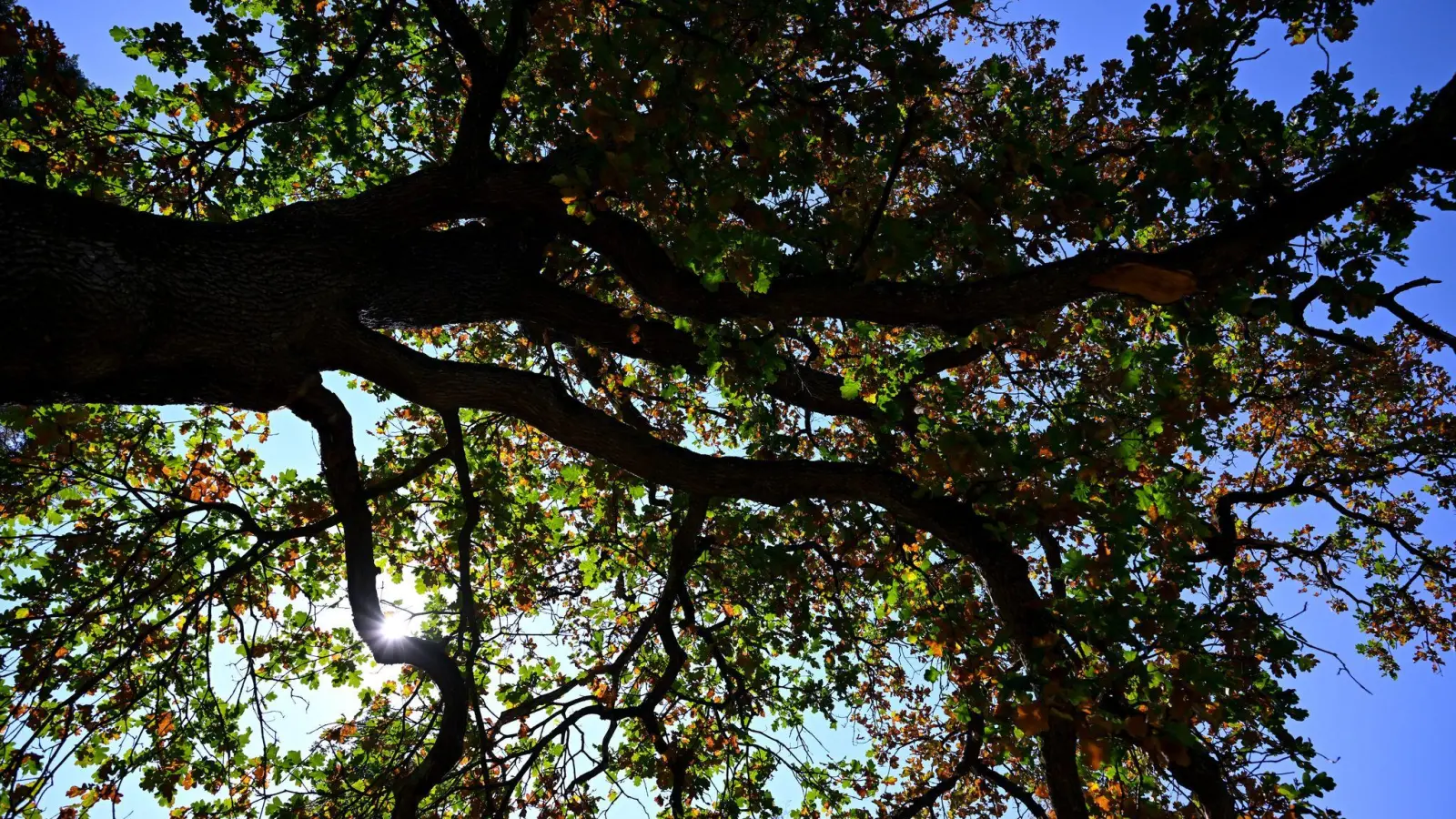 Das Wetter in Bayern bleibt durchwachsen. (Archivbild) (Foto: A4366 Sven Hoppe/dpa)