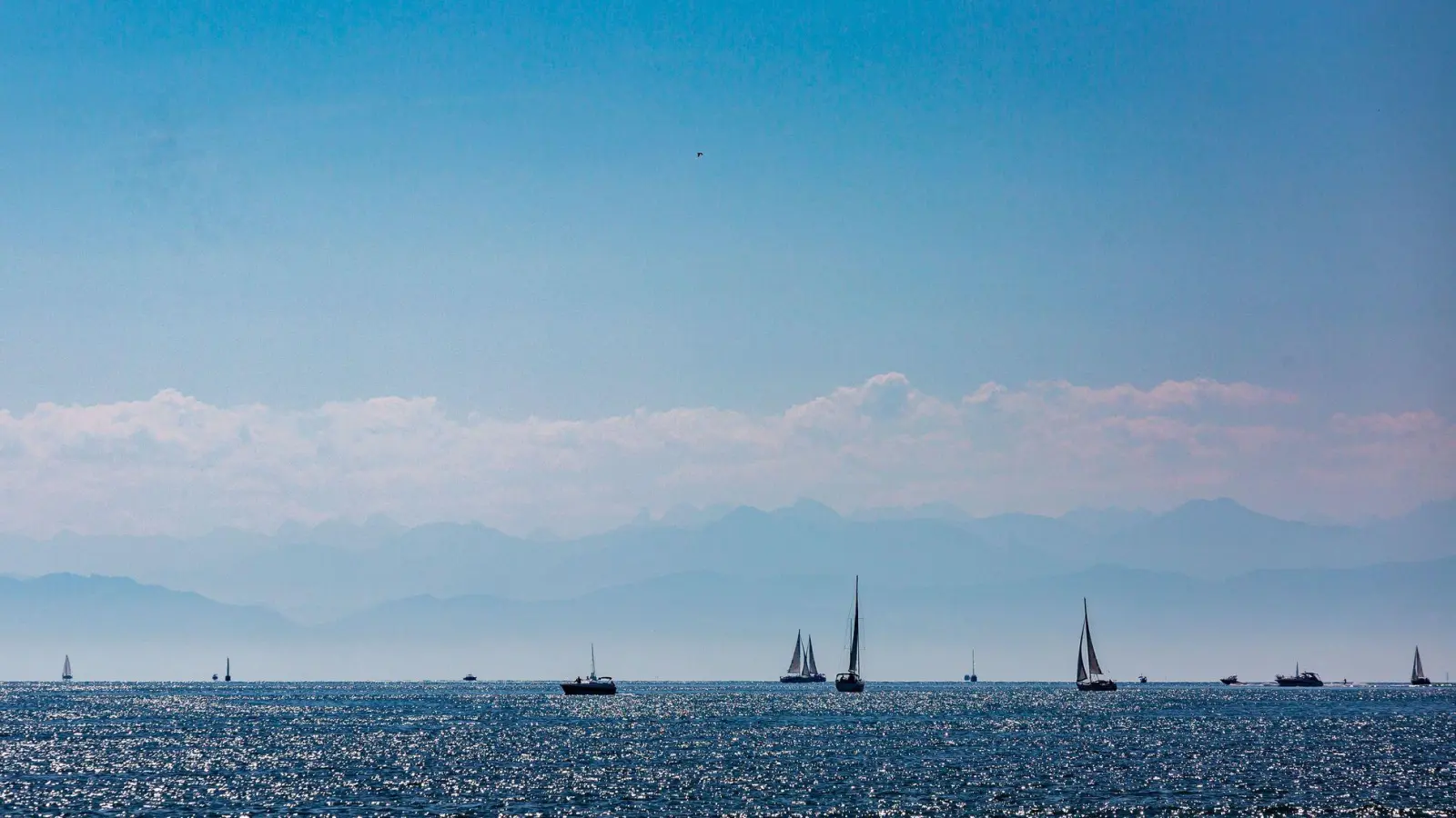 Im Prozess um den Tod einer deutschen Seglerin auf dem Bodensee hat der Angeklagte Fehler eingeräumt. (Symbolbild) (Foto: Philipp von Ditfurth/dpa)